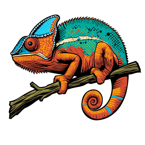 chameleon Illustration of an orange and teal Chameleon sitting on a branch